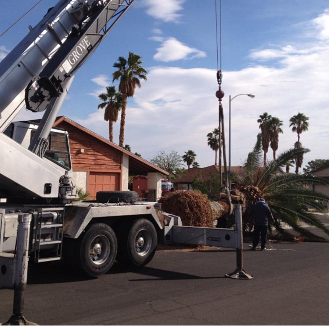 A crane lifts a technician toward a tall light pole against a cloudy sky, demonstrating maintenance work using a 50-ton crane rental in Las Vegas from Langford Crane Service, Inc.